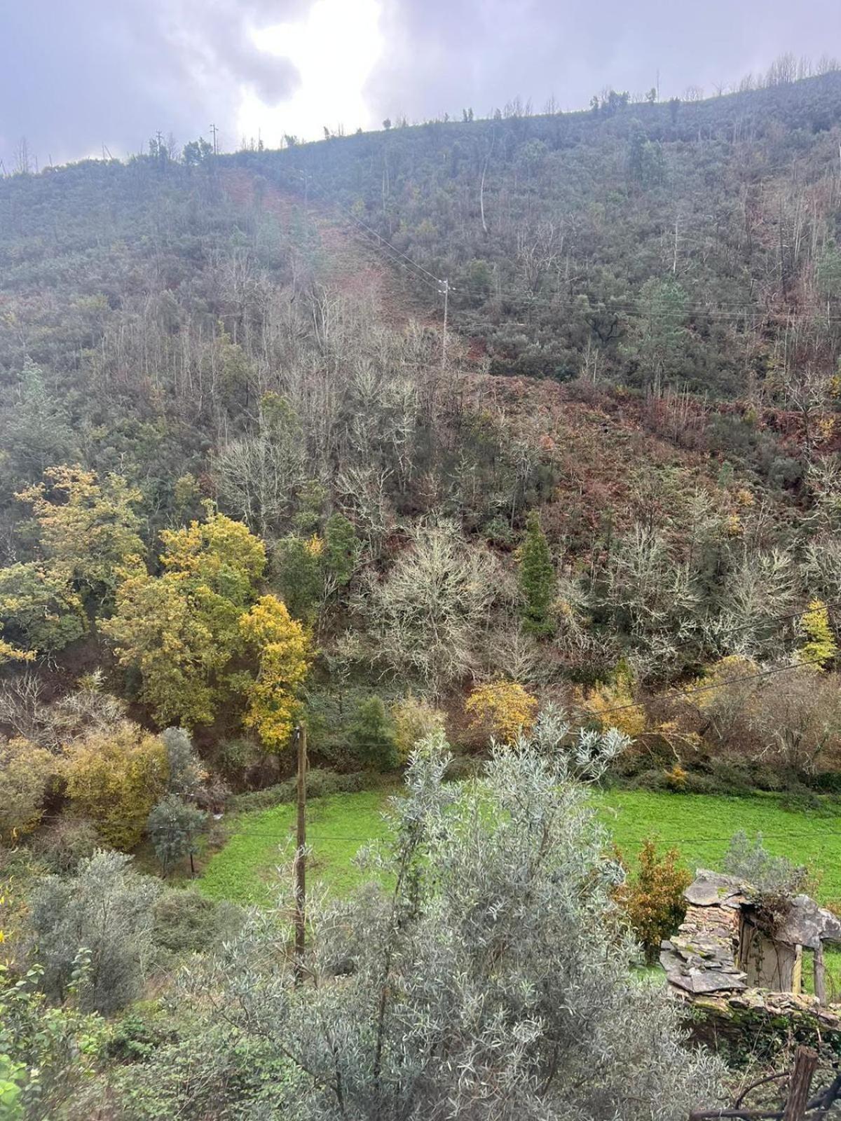 Vila Casa De Xisto Serra Do Acor Arganil Exteriér fotografie