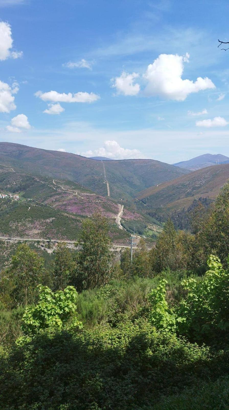 Vila Casa De Xisto Serra Do Acor Arganil Exteriér fotografie