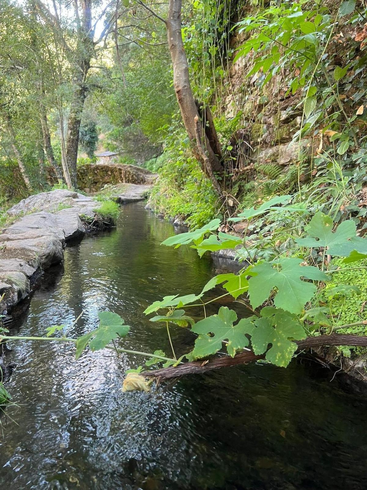 Vila Casa De Xisto Serra Do Acor Arganil Exteriér fotografie