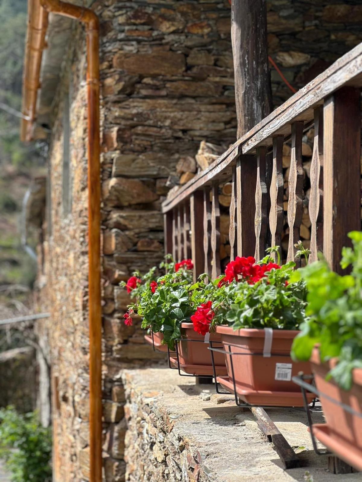 Vila Casa De Xisto Serra Do Acor Arganil Exteriér fotografie