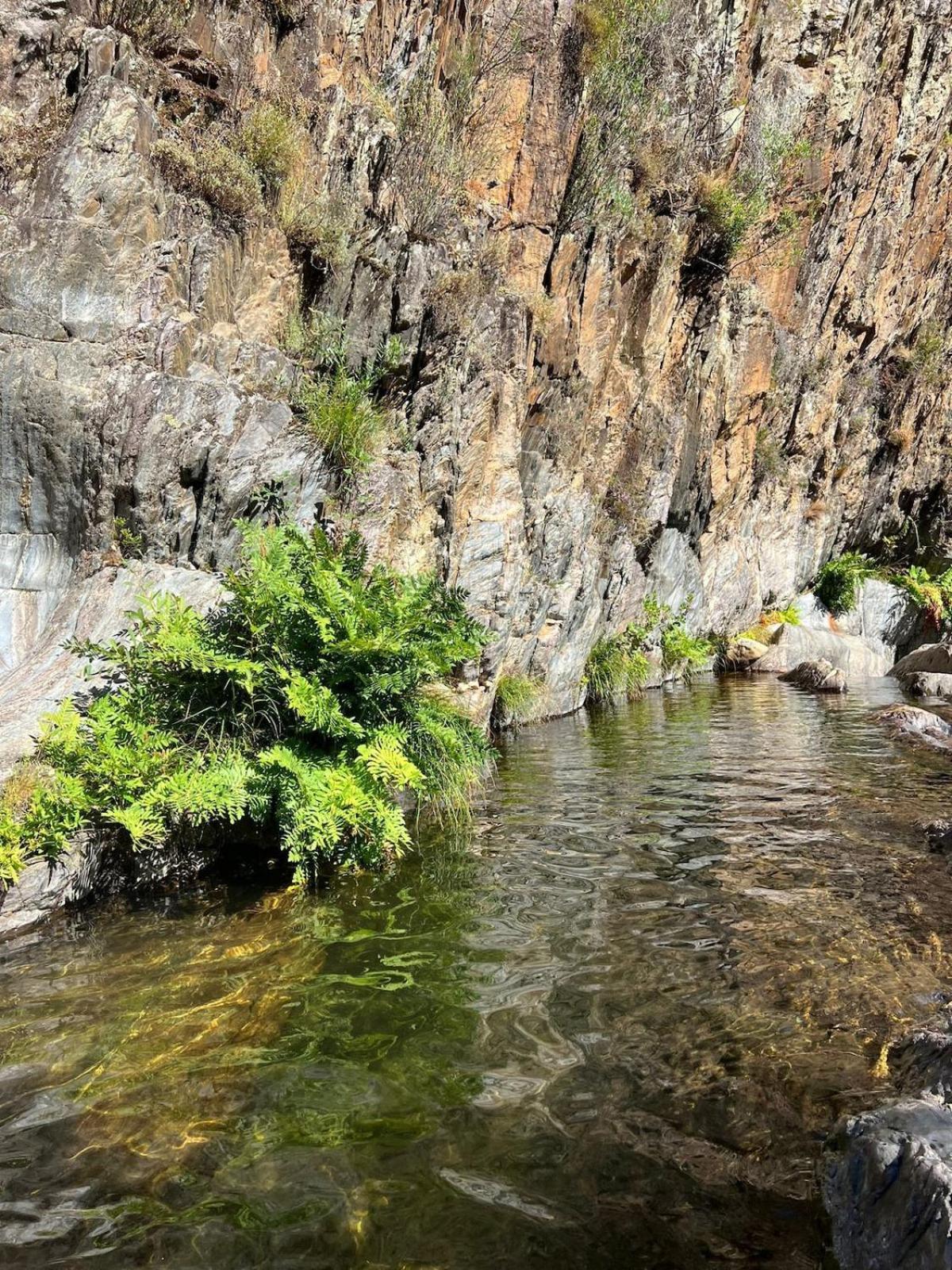 Vila Casa De Xisto Serra Do Acor Arganil Exteriér fotografie