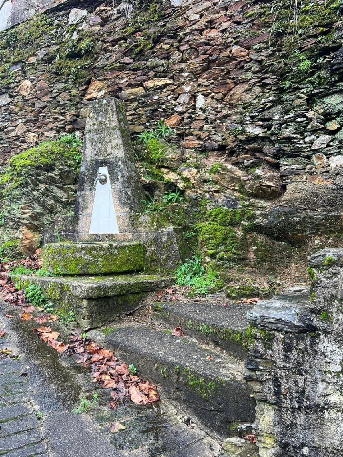 Vila Casa De Xisto Serra Do Acor Arganil Exteriér fotografie